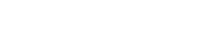 Wise Factura
